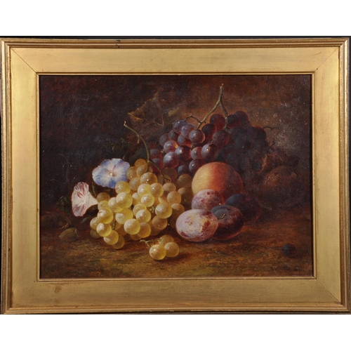 146 - Thomas Whittle (1803-1887) British. Still Life of Fruit on a Bank, Oil on Canvas, Signed, 12” x 16” ... 