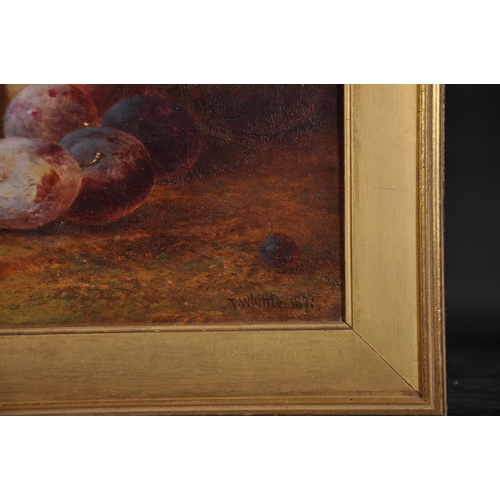146 - Thomas Whittle (1803-1887) British. Still Life of Fruit on a Bank, Oil on Canvas, Signed, 12” x 16” ... 