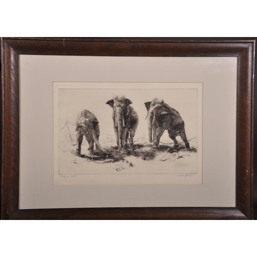 181 - Leonard Robert Brightwell (1889-1983) British. “Kings in Exile”, Three Circus Elephants, Etching, Si... 