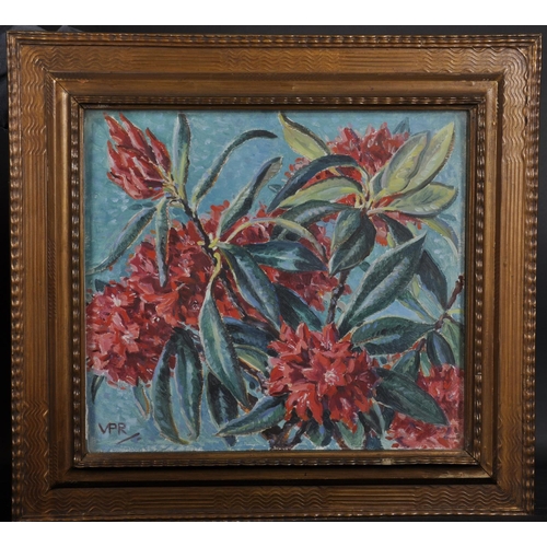 254 - Lady Victoria Patricia Helena Ramsay (1886-1974) British. Still Life of Rhododendrons, Oil on Board,... 