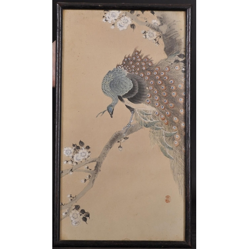 312 - Koson Ohara (1877-1945) Japanese. A Peacock on a Flowering Cherry Blossom Tree, Woodblock, Signed wi... 