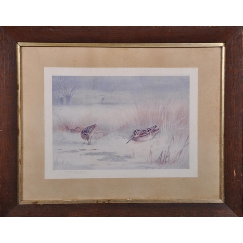 321 - Archibald Thorburn (1860-1935) British. Snipe in a Winter Landscape, Print, Signed in Pencil, 8.25” ... 