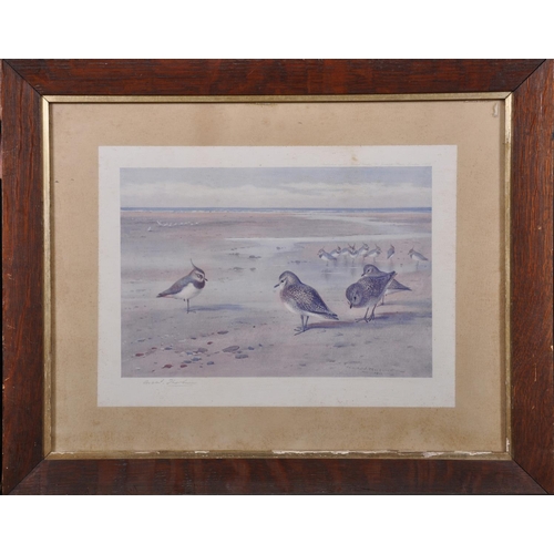 321 - Archibald Thorburn (1860-1935) British. Snipe in a Winter Landscape, Print, Signed in Pencil, 8.25” ... 