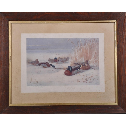321 - Archibald Thorburn (1860-1935) British. Snipe in a Winter Landscape, Print, Signed in Pencil, 8.25” ... 