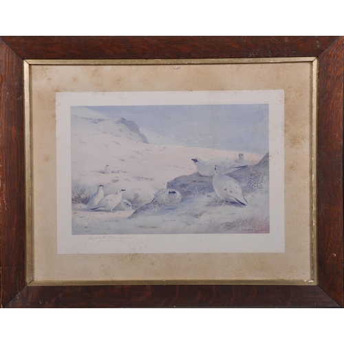 321 - Archibald Thorburn (1860-1935) British. Snipe in a Winter Landscape, Print, Signed in Pencil, 8.25” ... 