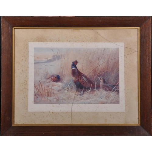 321 - Archibald Thorburn (1860-1935) British. Snipe in a Winter Landscape, Print, Signed in Pencil, 8.25” ... 