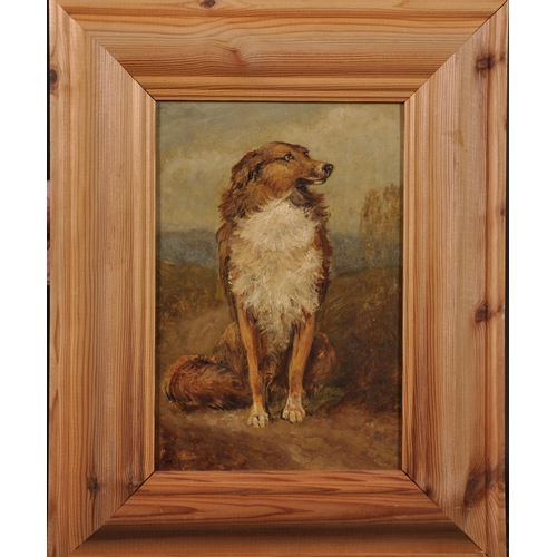 325 - Circle of George Armfield (1808-1893) British. Study of a Collie Dog, Oil on Board, bears a Signatur... 