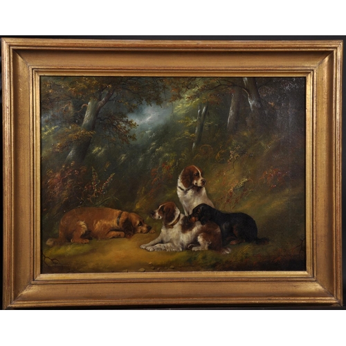 326 - George Armfield (1808-1893) British. Study of Four Spaniels in a Wooded Landscape, Oil on Canvas, In... 