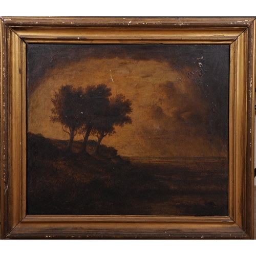 48 - After Rembrandt Van Rijn (1606-1669) Dutch. An Extensive Landscape, with Haarlem in the distance, Oi... 