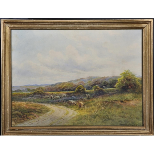 105 - George Oyston (1861-1937) British. A Surrey Landscape, with Sheep Grazing, Watercolour, Signed and D... 