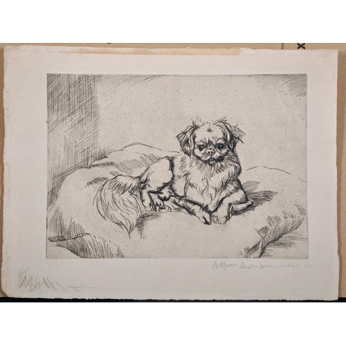 107 - Athene Andrade (1908-1973) British. Study of a Pekingese on a Cushion, Etching, Signed in Pencil, Un... 