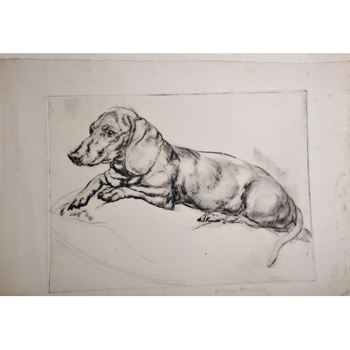 107 - Athene Andrade (1908-1973) British. Study of a Pekingese on a Cushion, Etching, Signed in Pencil, Un... 