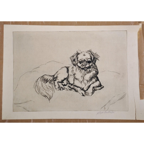 107 - Athene Andrade (1908-1973) British. Study of a Pekingese on a Cushion, Etching, Signed in Pencil, Un... 