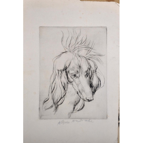 107 - Athene Andrade (1908-1973) British. Study of a Pekingese on a Cushion, Etching, Signed in Pencil, Un... 