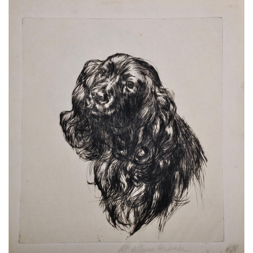 107 - Athene Andrade (1908-1973) British. Study of a Pekingese on a Cushion, Etching, Signed in Pencil, Un... 