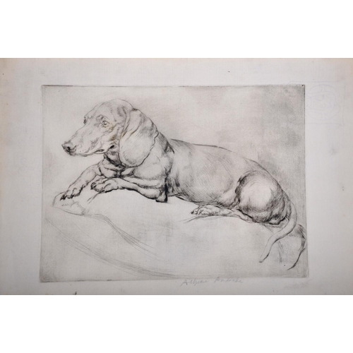 107 - Athene Andrade (1908-1973) British. Study of a Pekingese on a Cushion, Etching, Signed in Pencil, Un... 