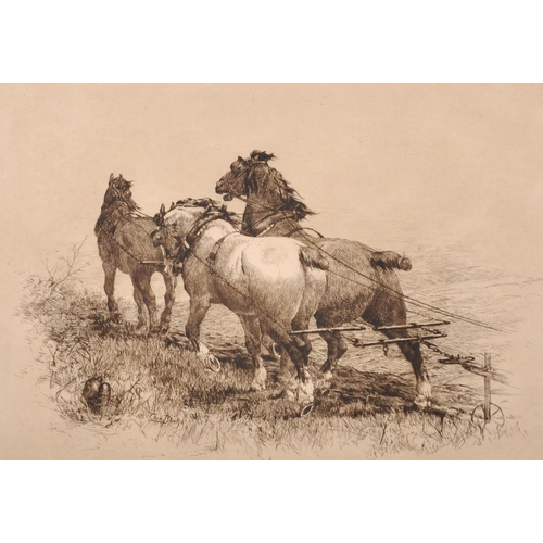 108 - Thomas Blinks (1860-1912) British. A Plough Team, Etching, Signed in Pencil, 9” x 13” (23 x 33cm)