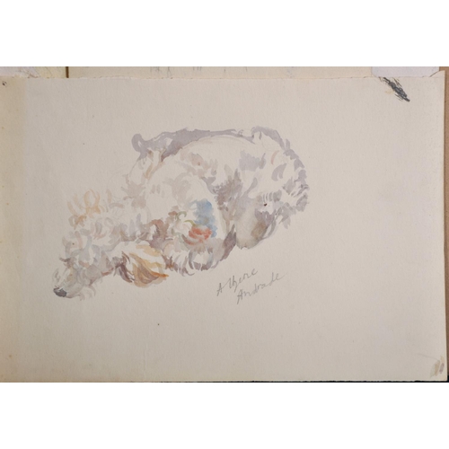 118 - Athene Andrade (1908-?) British. Study of a Curled up Pekingese, Watercolour, Signed, Unframed, 9.5”... 