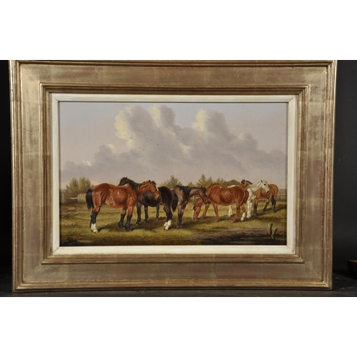 123 - William Henry Marmaduke Turner (1840-1870) British. 'Nags in a Field', Oil on Canvas, Signed and Dat... 