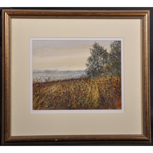 158 - Edward Stamp (1939-    ) British. “Beanfield Evening, Littlecote, Bucks”, Watercolour, Signed, and I... 