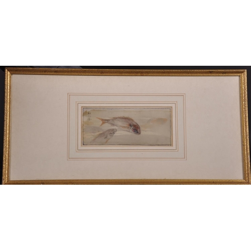 267 - 20th Century Chinese School. A Study of Two Carp, Mixed Media, Signed with Motif, 3” x 7.25” (7.6 x ... 