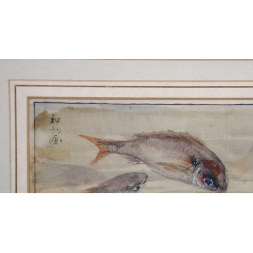 267 - 20th Century Chinese School. A Study of Two Carp, Mixed Media, Signed with Motif, 3” x 7.25” (7.6 x ... 