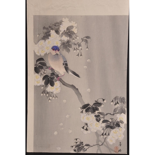 268 - 20th Century Chinese School. Study of an Oriental Bird on a Branch, Mixed Media, Signed with Motif, ... 