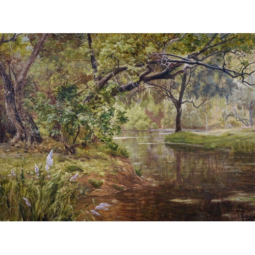 335 - Rene Charles Edmond His (1877-1960) French. “Riviere sous Bois”, a Tranquil River Landscape, Oil on ... 