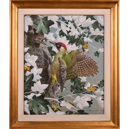 102 - Basil Ede (1931-2016) British. Green Woodpecker and her Chick, Watercolour, Signed and Dated 1969, 1... 