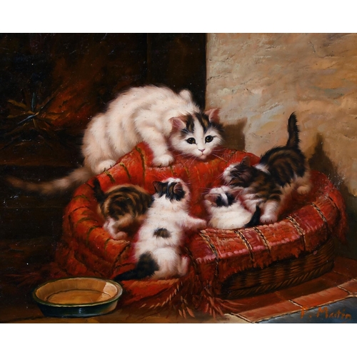 105 - P… Martin (20th Century) Continental. Kittens at Play in a Basket, Oil on Panel, Signed, 7.75” x 10”... 