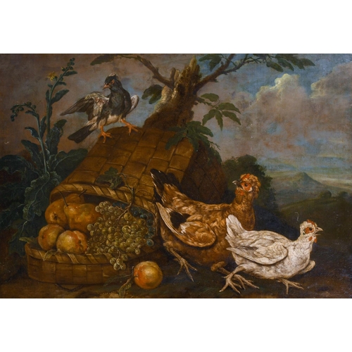 32 - Giovanni Agostino Cassana (1658-1720) Italian. Birds with an Upturned Basket of Fruit, Oil on Canvas... 