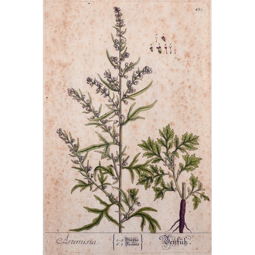 4 - Late 18th Century German School. “Artemisia”, Print, 11.75” x 7.75” (30 x 19.5cm) and seven others, ... 