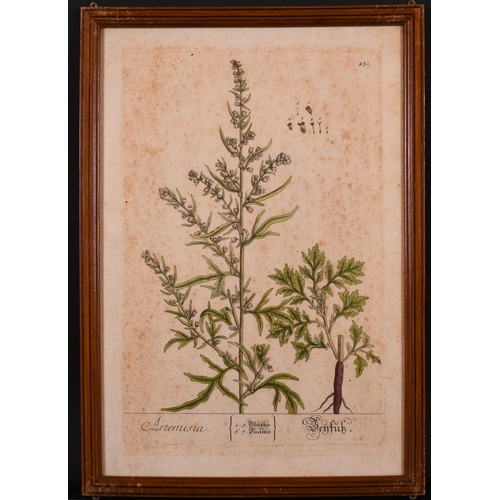 4 - Late 18th Century German School. “Artemisia”, Print, 11.75” x 7.75” (30 x 19.5cm) and seven others, ... 