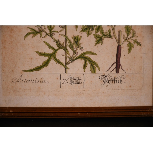 4 - Late 18th Century German School. “Artemisia”, Print, 11.75” x 7.75” (30 x 19.5cm) and seven others, ... 