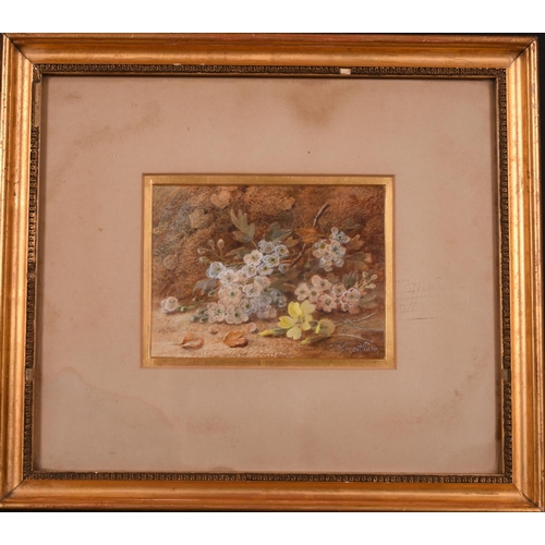 64 - Vincent Clare (1855-1930) British. Still Life of Flowers on a Bank, Watercolour, Signed, 4.5” x 6” (... 