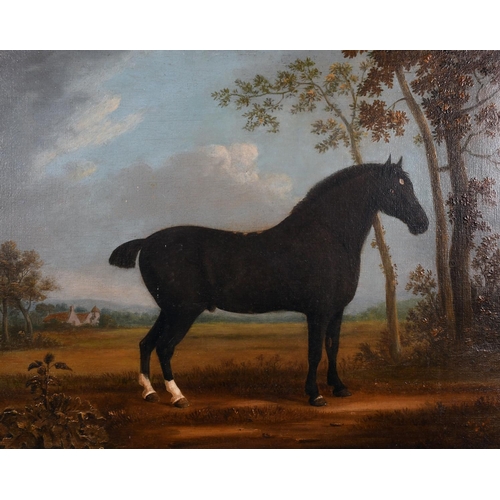 93 - Attributed to John R Hobart (1788-1863) British. Study of a Horse in a Landscape, Oil on Board, 17” ... 