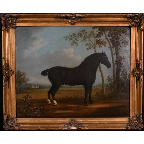 93 - Attributed to John R Hobart (1788-1863) British. Study of a Horse in a Landscape, Oil on Board, 17” ... 