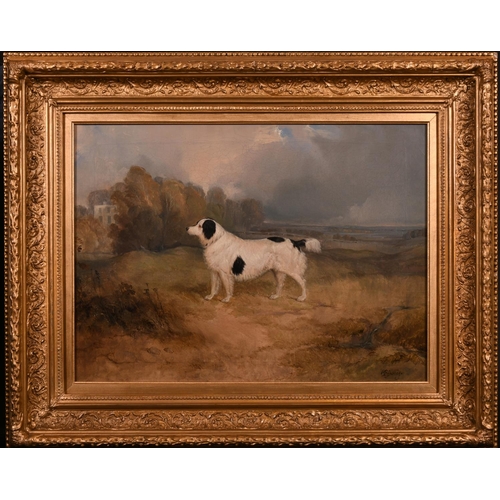 98 - Charles Bilger Spalding (1810-1871) British. A Spaniel in an Open Landscape, Oil on Canvas, Signed, ... 