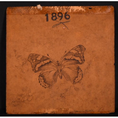 143 - Laurence Biddle (1888-1968) British. Study of a Butterfly, Pencil, Signed and Stamped 1896, Unframed... 