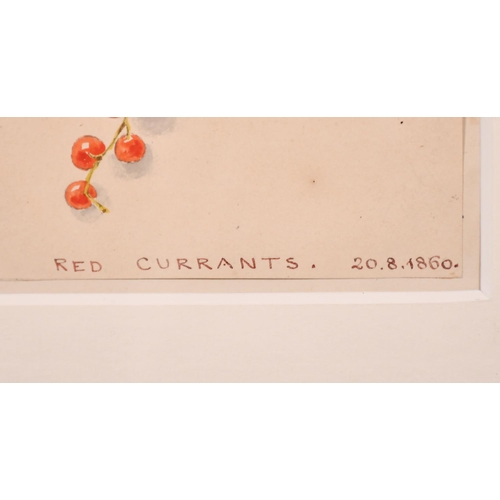 79 - 20th Century English School. “Redcurrants 20.8.1860”, Watercolour, Inscribed, 5.5” x 4.5” (14 x 11.4... 