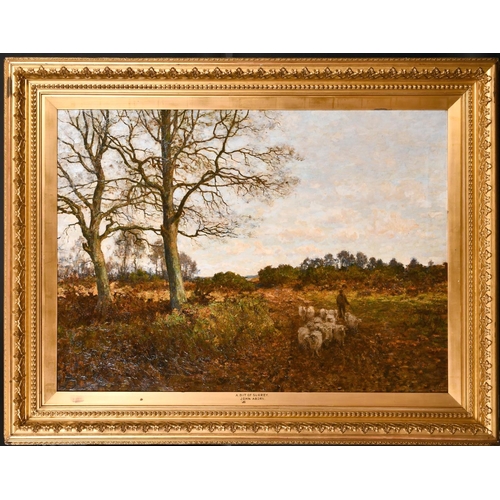 221 - John Aborn (fl.1885-1922) British. “A Bit of Surrey”, Oil on Canvas, in a Fine Gilt Composition Fram... 