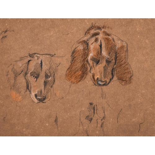 226 - Winnifred Mary Louise Austen (1876-1964) British. Sketch of ‘Don’ the Spaniel, Pencil and Crayon, In... 