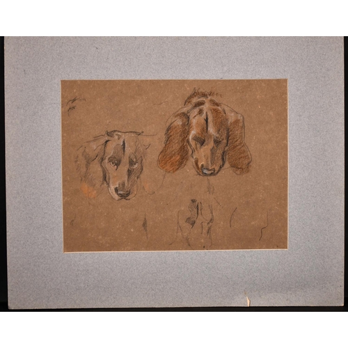 226 - Winnifred Mary Louise Austen (1876-1964) British. Sketch of ‘Don’ the Spaniel, Pencil and Crayon, In... 