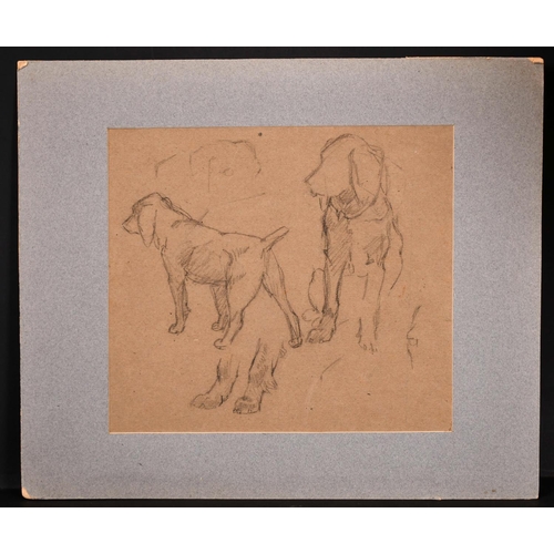 226 - Winnifred Mary Louise Austen (1876-1964) British. Sketch of ‘Don’ the Spaniel, Pencil and Crayon, In... 