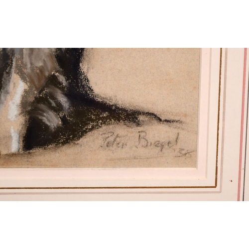 228 - Peter Biegel (1913-1987) British. Study of a Collie, Chalk, Signed and Dated ’38, 17” x 13.75” (43.2... 