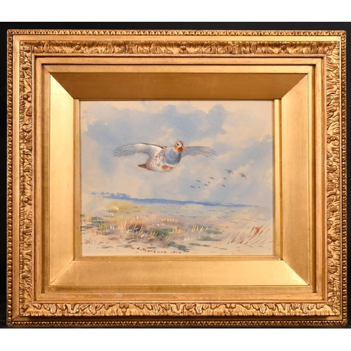 229 - Archibald Thorburn (1860-1935) British. A Grey Partridge, Watercolour, Signed and Dated 1904, 6.75” ... 