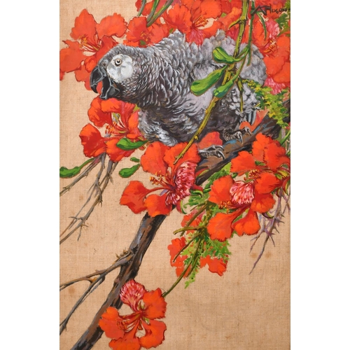 231 - Kay Nixon (1895-1988) British. Study of a Parrot in a Blossom Tree, Watercolour, Signed, 15” x 10” (... 