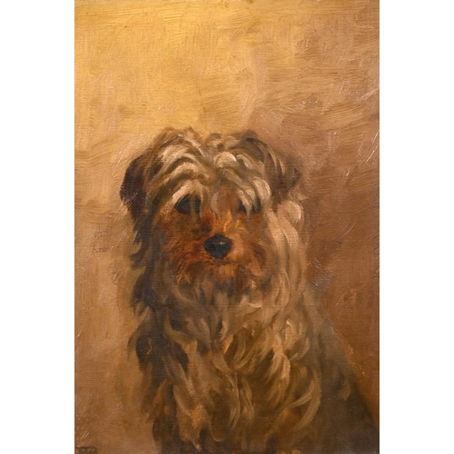 232 - Early 20th Century English School. The Head of a Terrier, Oil on Artist’s Board, Signed with Monogra... 