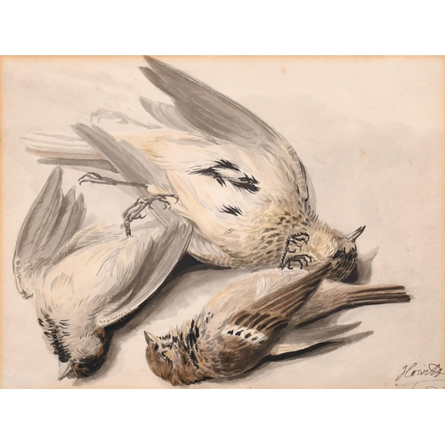 82 - Samuel Howitt (c.1765-1822) British. Study of Dead Birds, Watercolour, Signed, 6” x 8” (15.2 x 20.2c... 