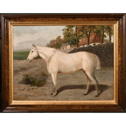 115 - E.S. England (act.1890-1910) British. A Grey Horse in a Landscape, Oil on Canvas, Signed, 18” x 24” ... 